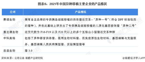 洞察2022 中國異種移植行業(yè)競爭格局深度解析——研發(fā)對比、投融資與業(yè)務(wù)布局盤點